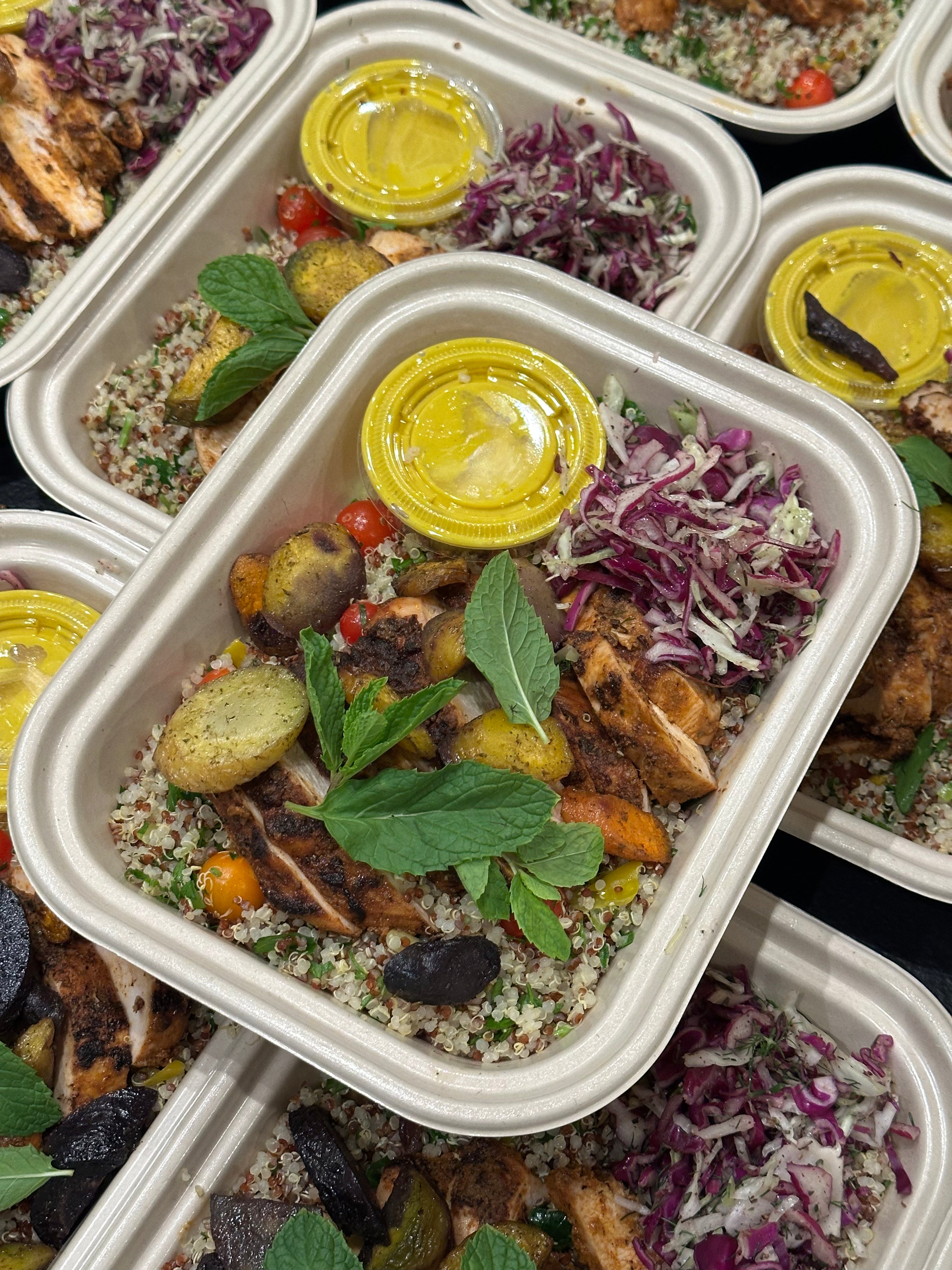 Grilled Chicken Shawarma Bowl
