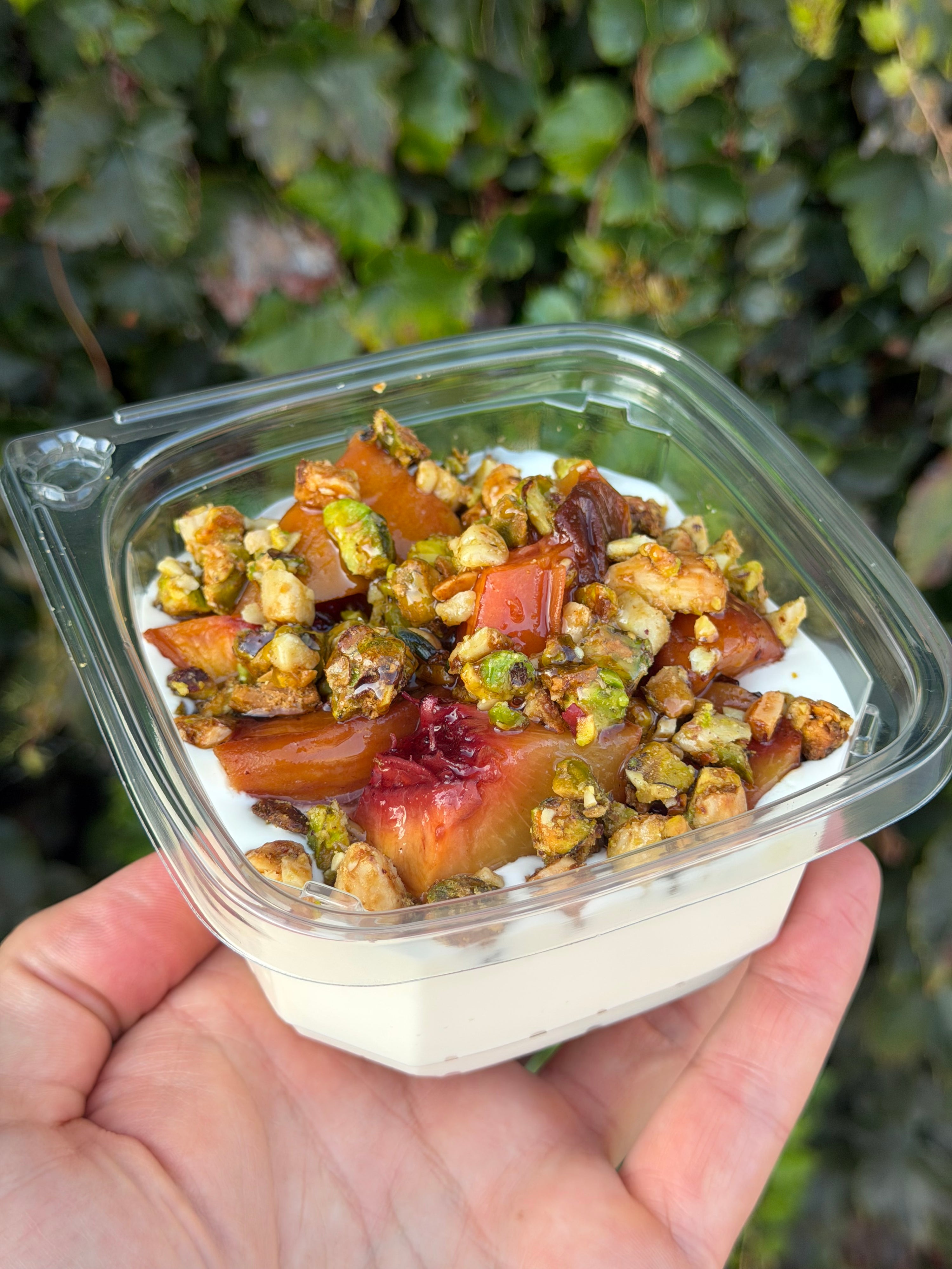 Plum & Pistachio Parfait