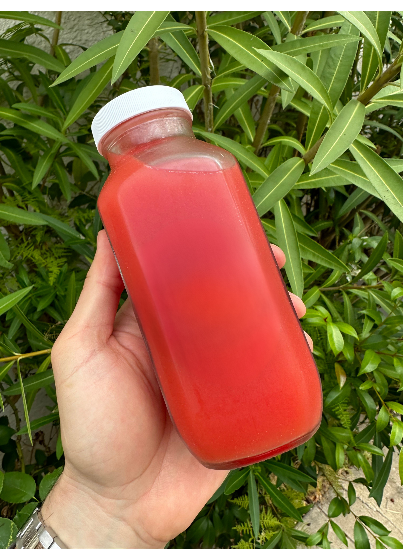 Strawberry Peach Agua Fresca