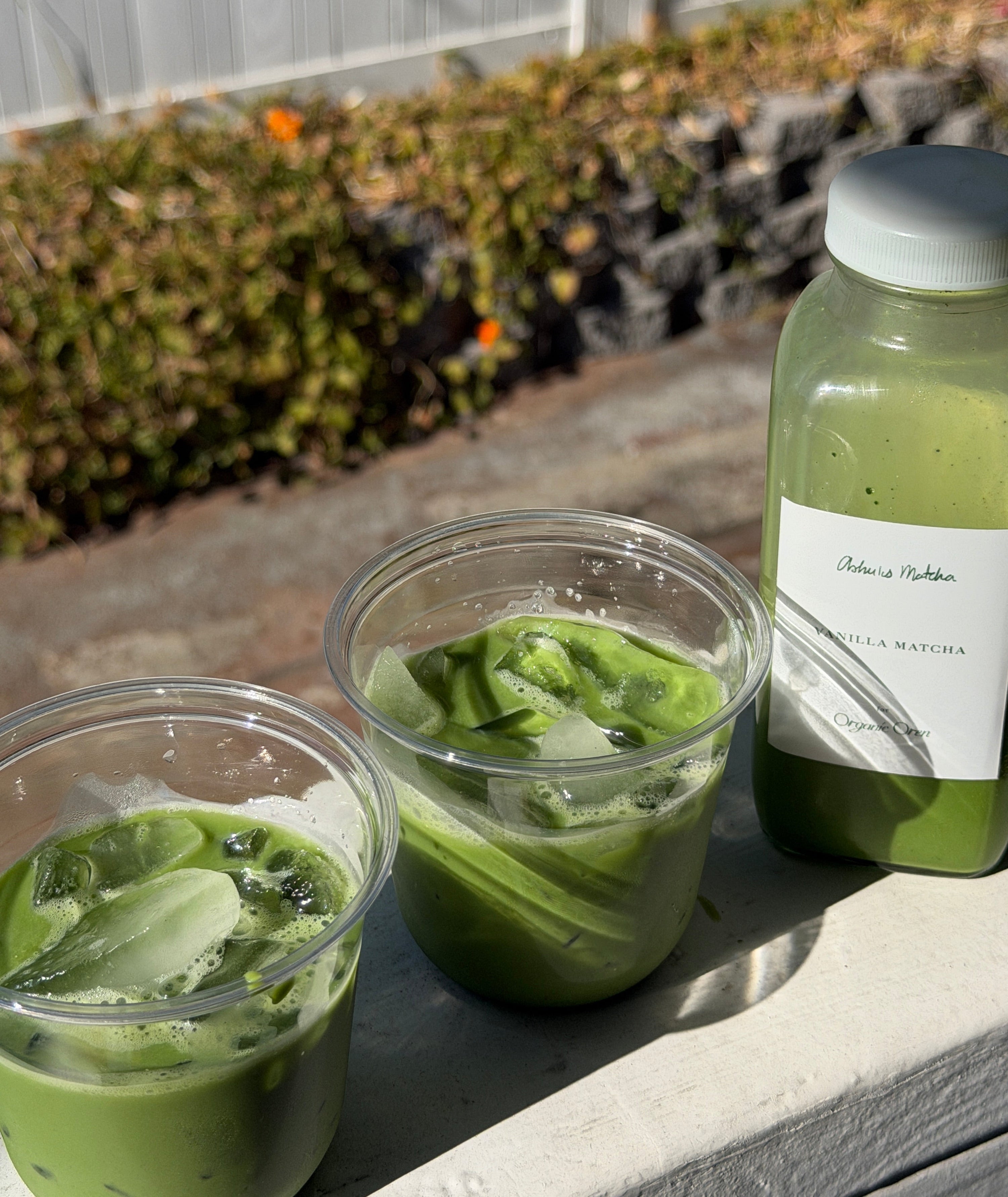 Ashu's Matcha x Organic Oren Vanilla Oat Matcha Latte