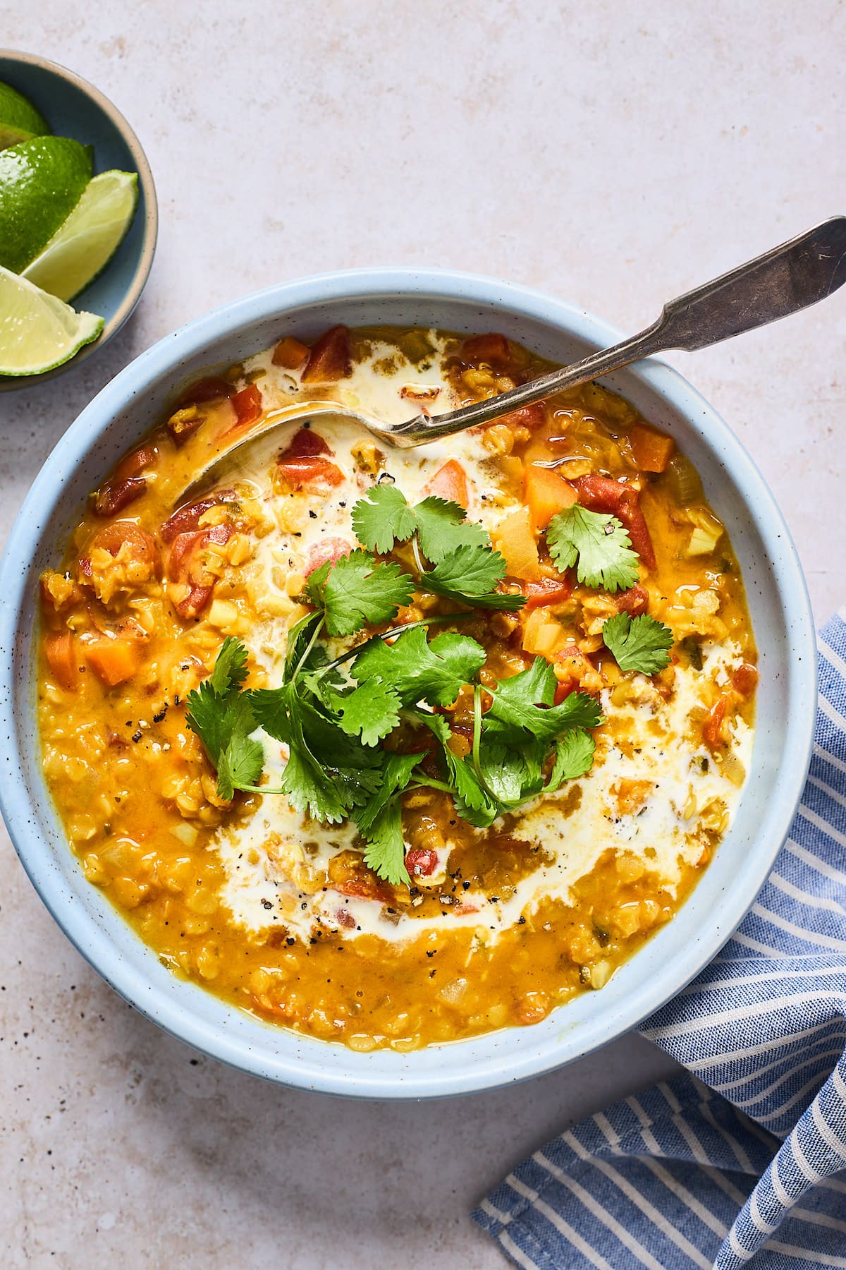 Coconut Curried Lentil Soup