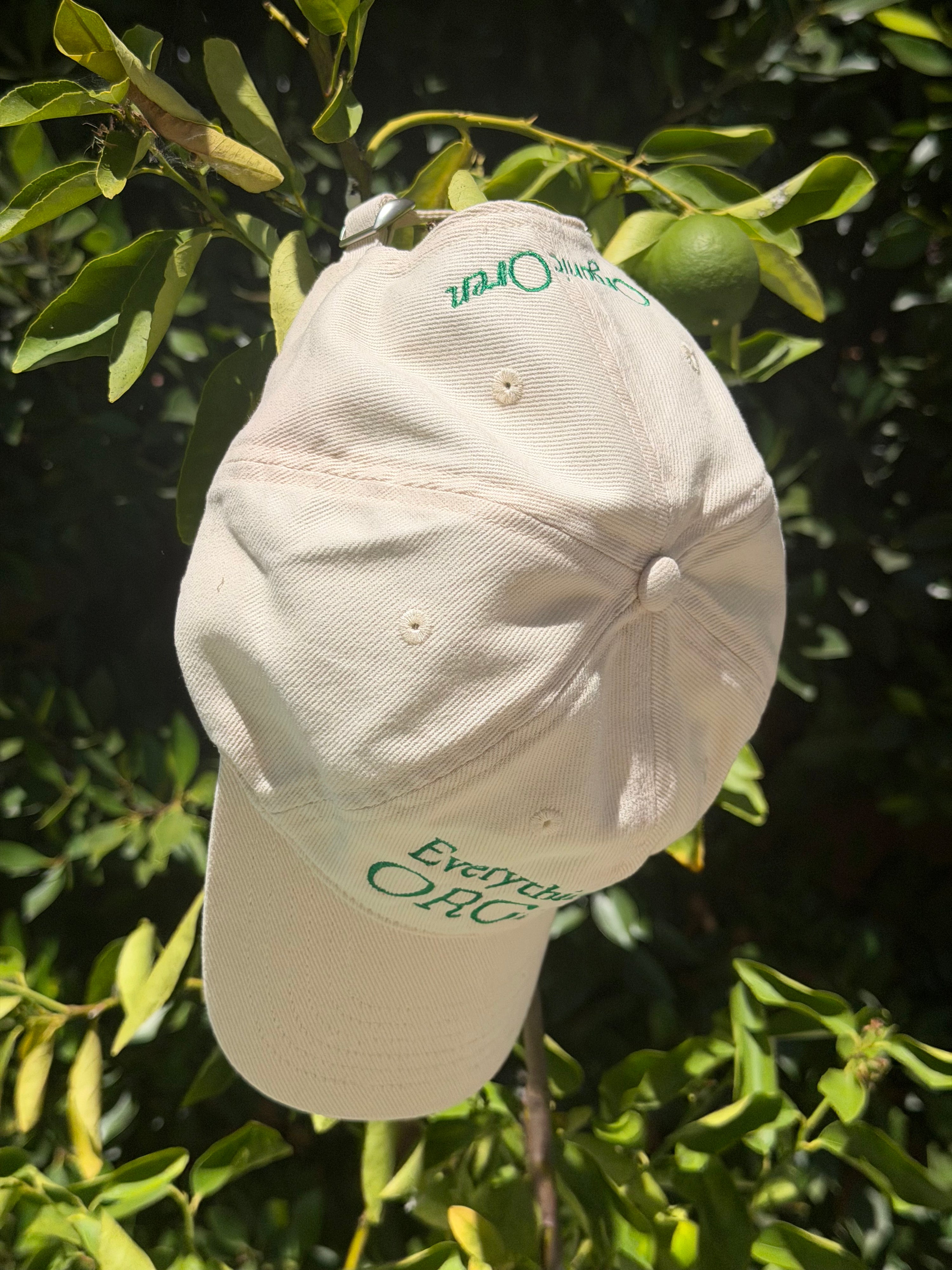 Organic Hat: Cream