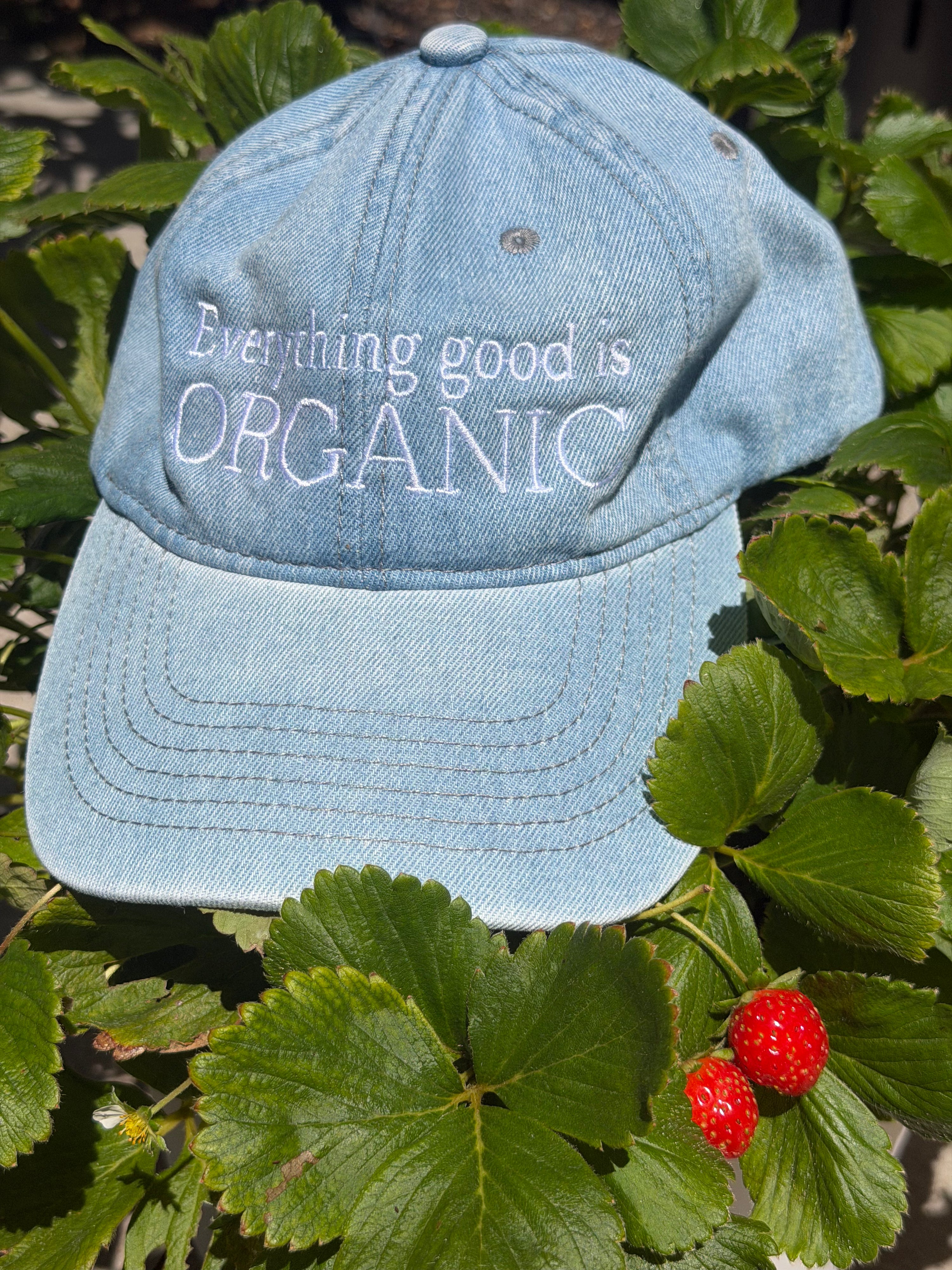 Organic Hat: Denim