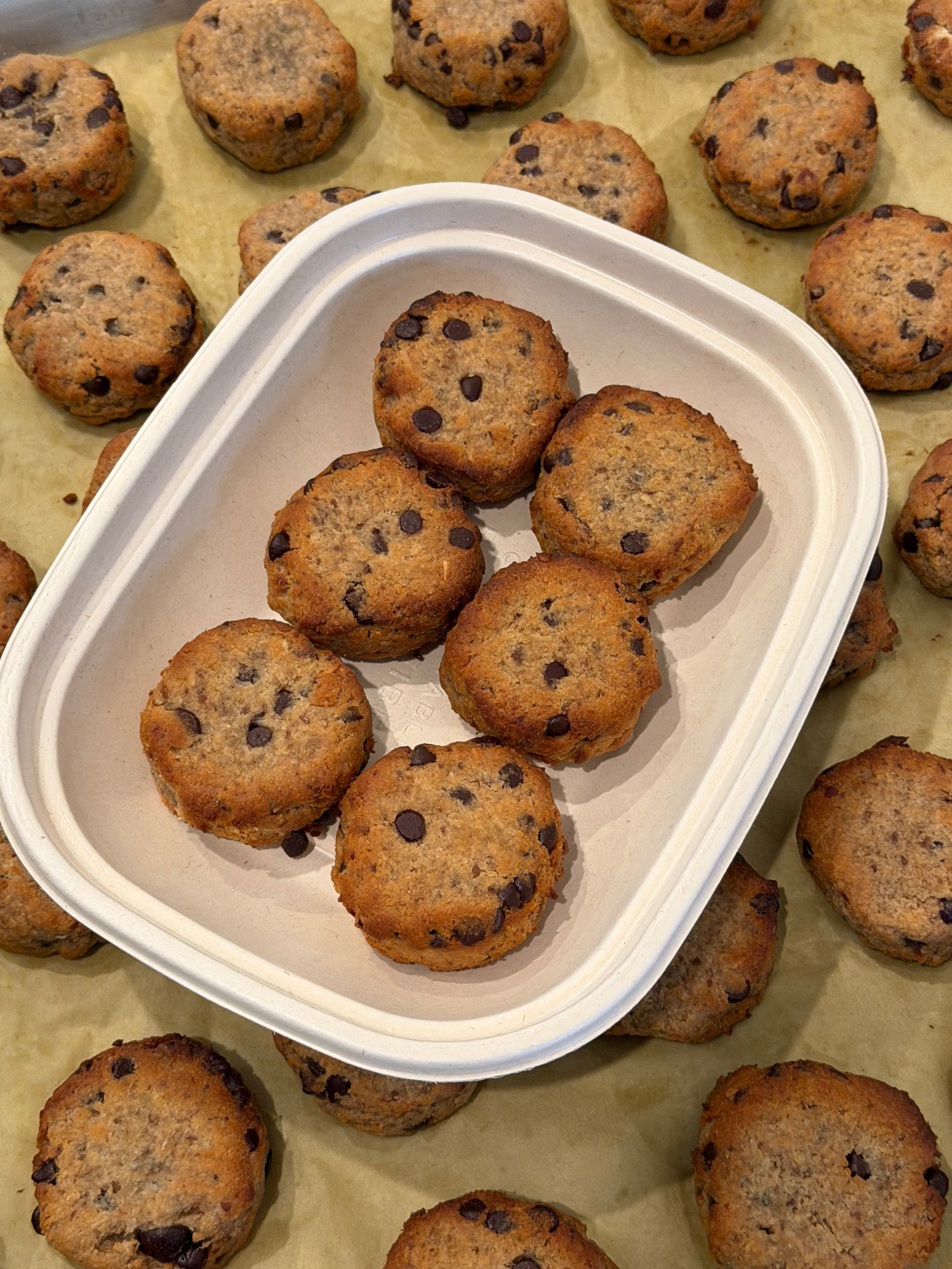 Chocolate Chip Sea Salt Cookies
