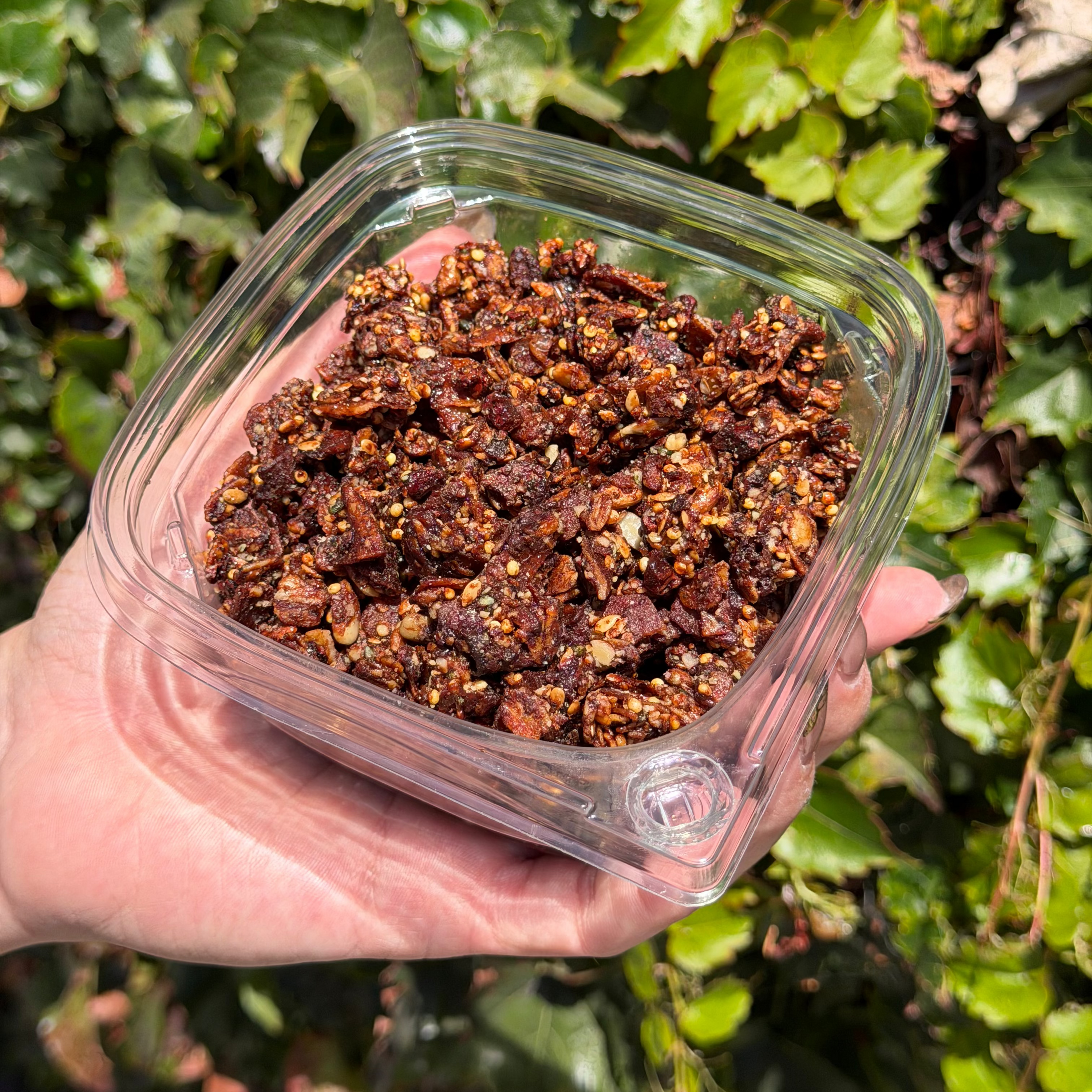 Cocoa Granola