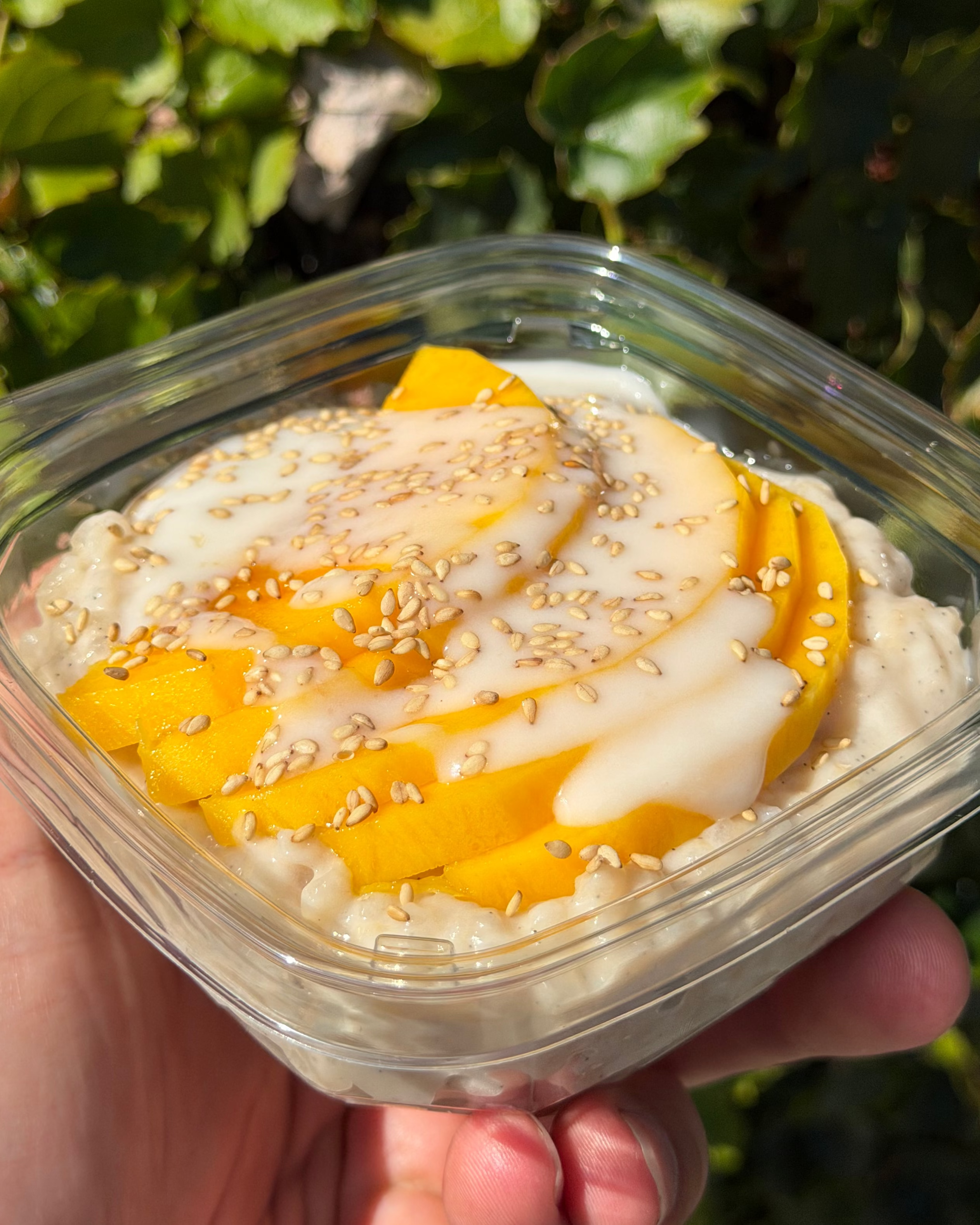 Mango Sticky Rice Pudding