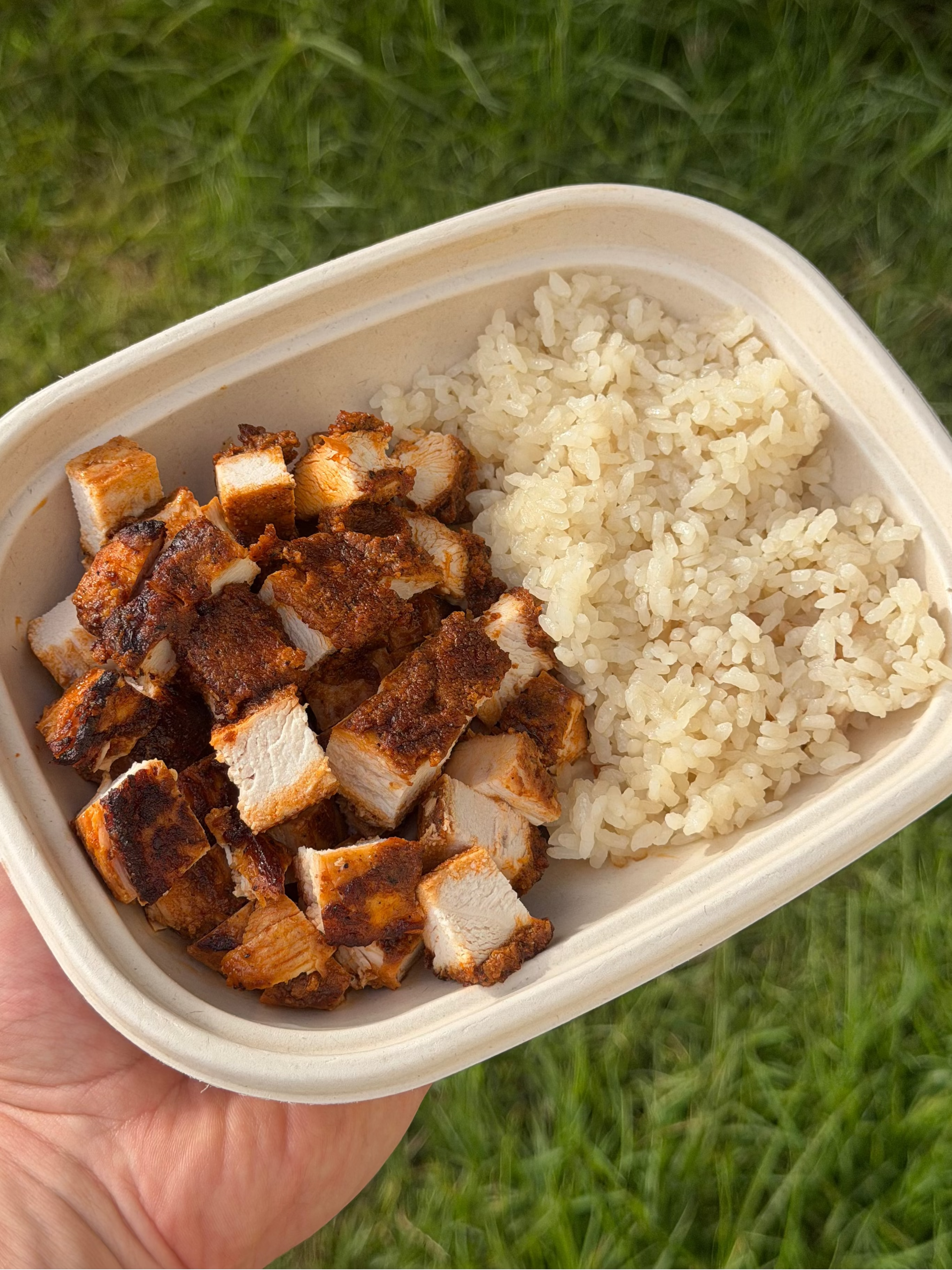 Kids Chicken & Rice Plate