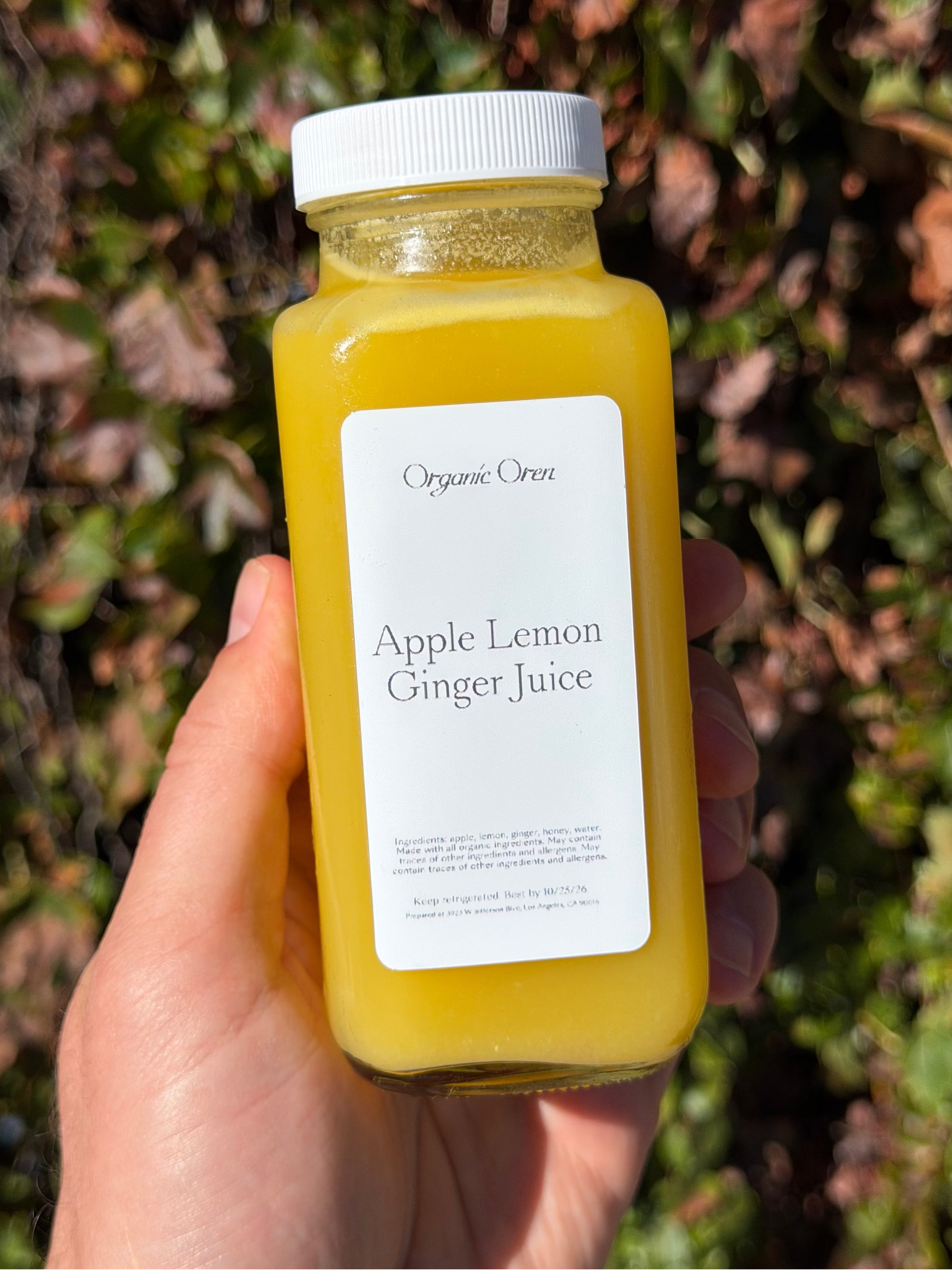 Apple Lemon Ginger Juice