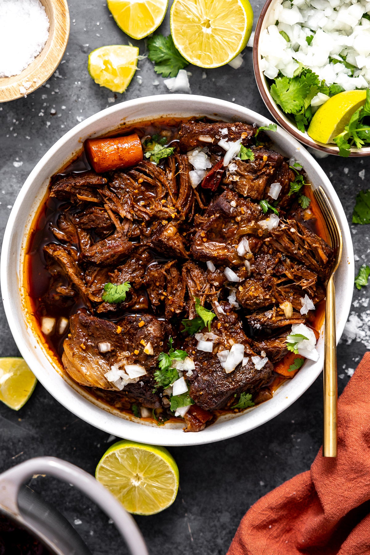 Braised Beef Birria