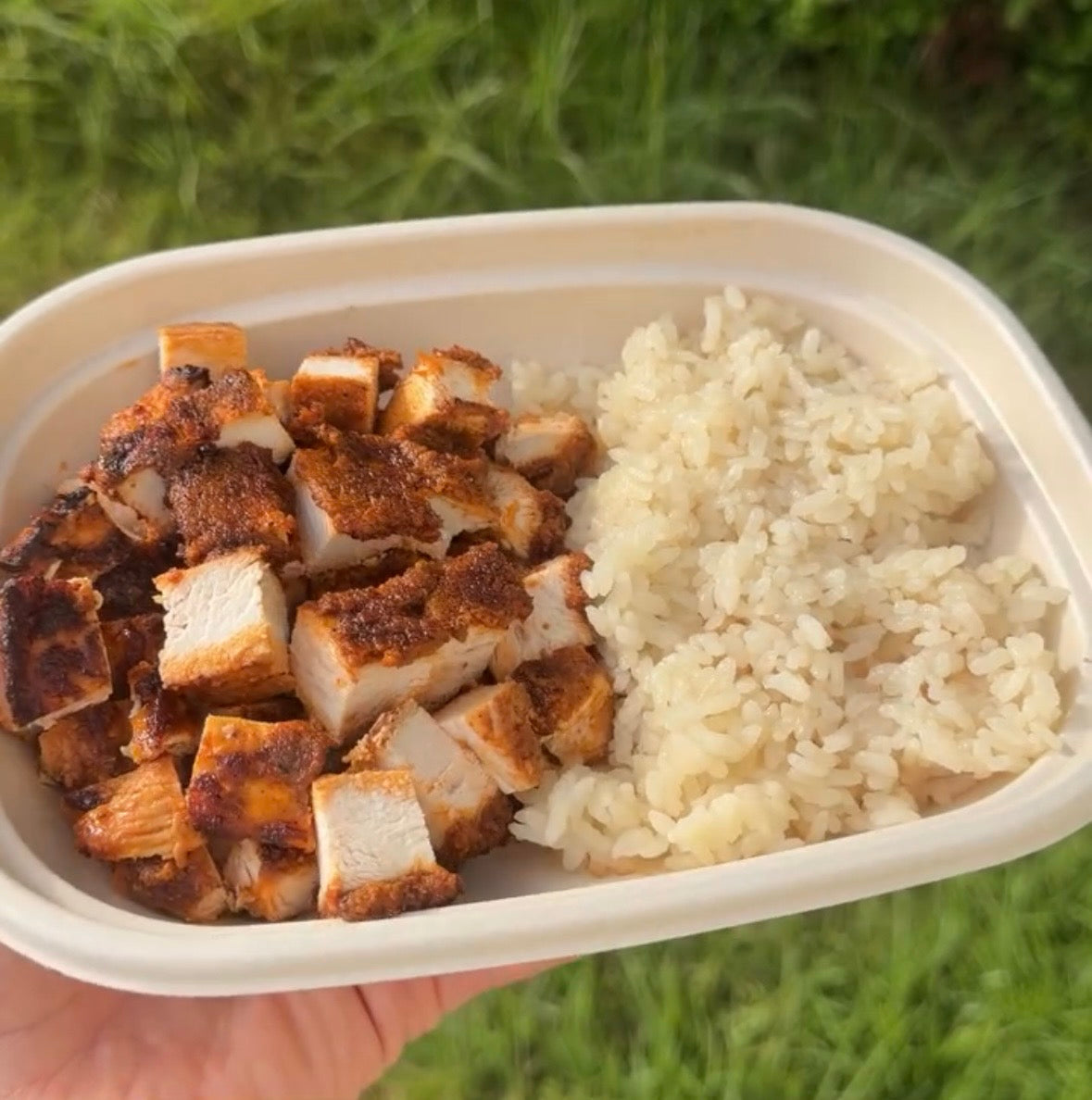 Kids Chicken & Rice Plate