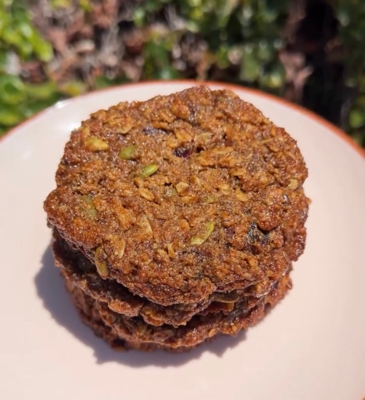 Oatmeal Cranberry Cookies