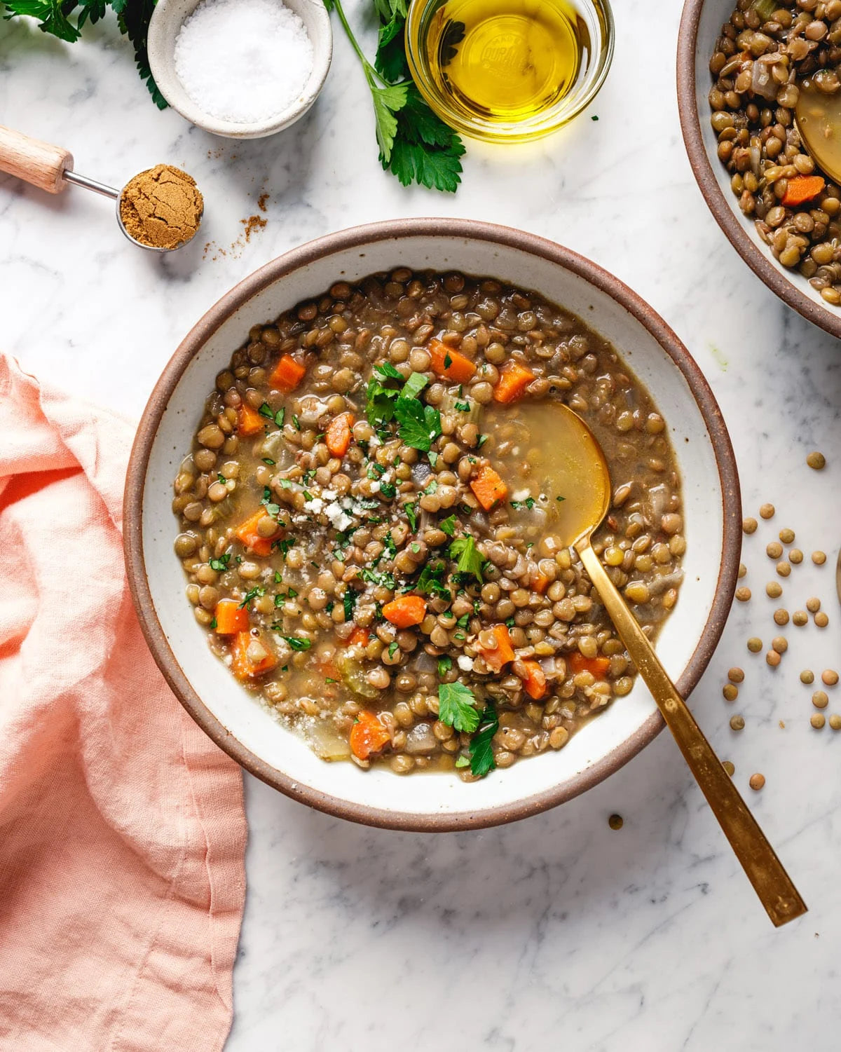 French Lentil Soup