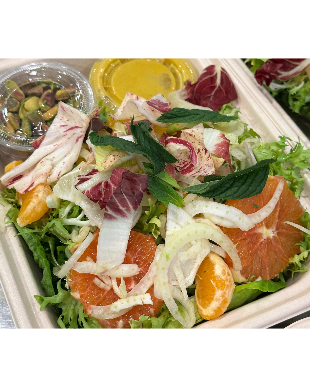 Citrusy Fennel Salad