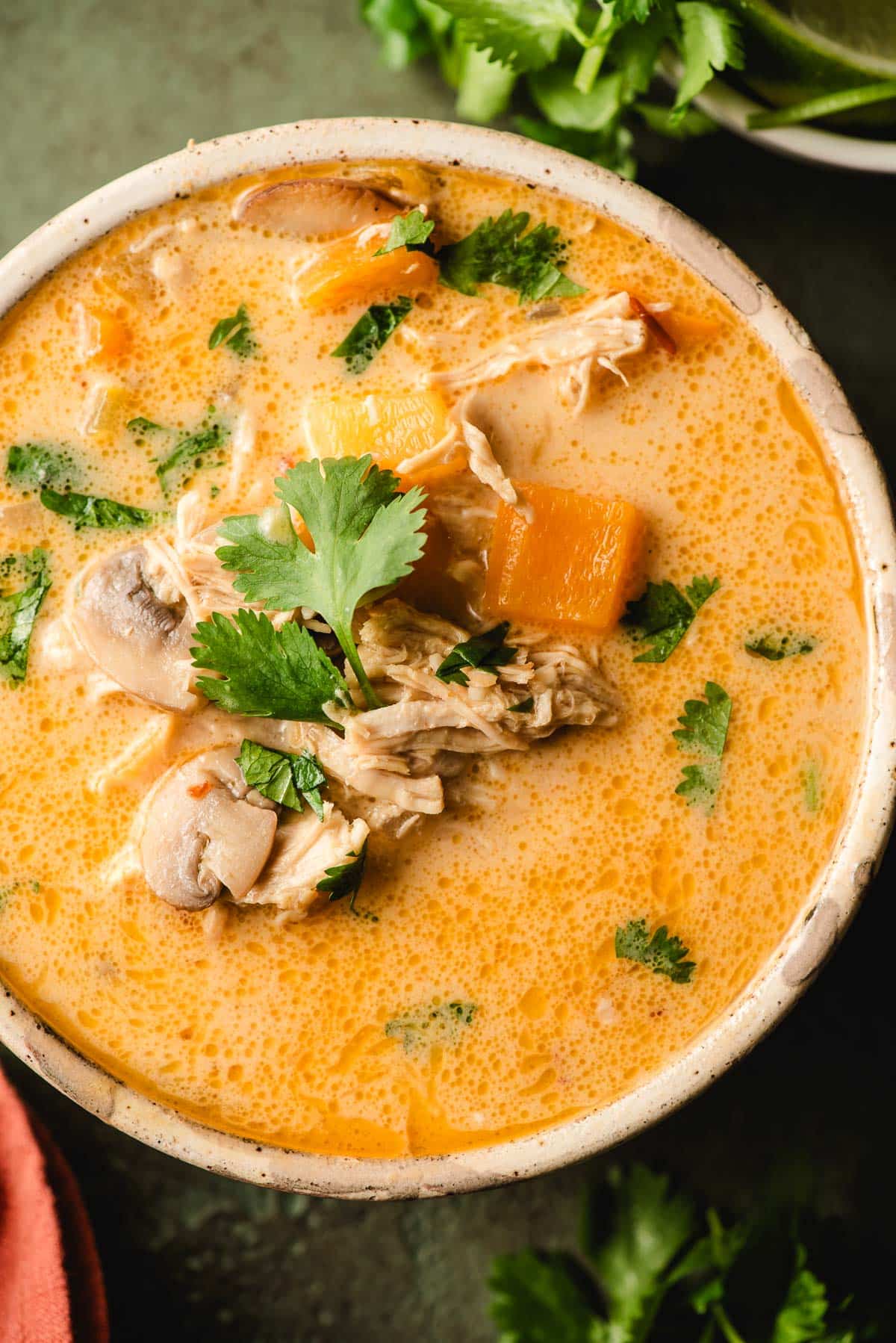 Thai Coconut Lemongrass Chicken Soup