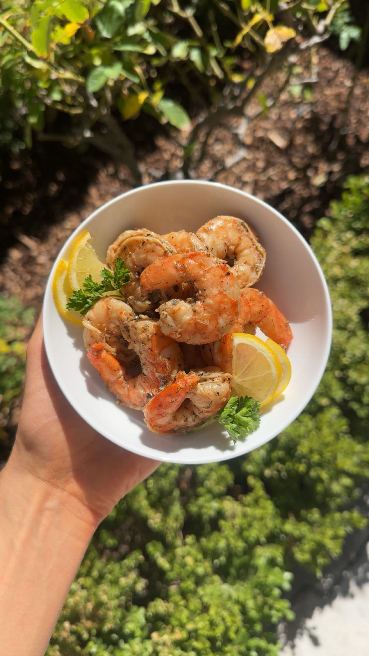 Greek Garlic & Lemon Shrimp