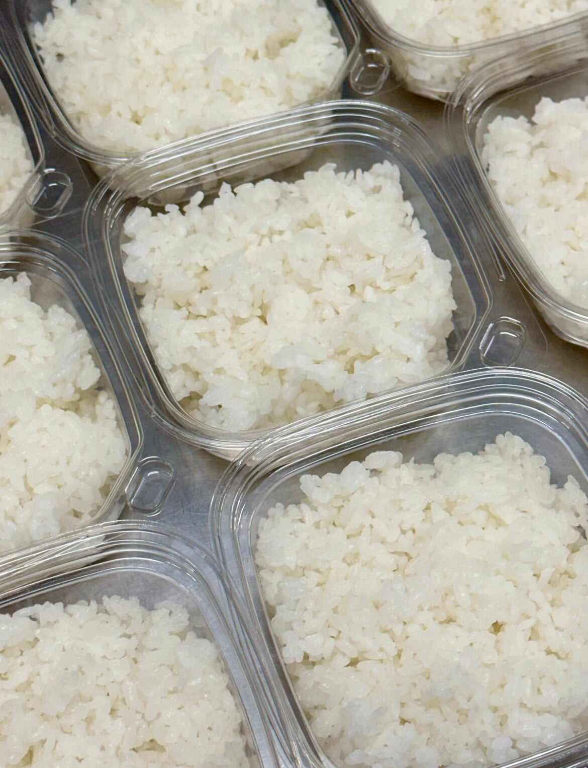 Steamed White Rice – Organic Oren