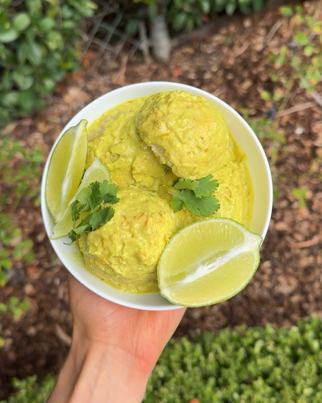 Green Curry Chicken Meatballs