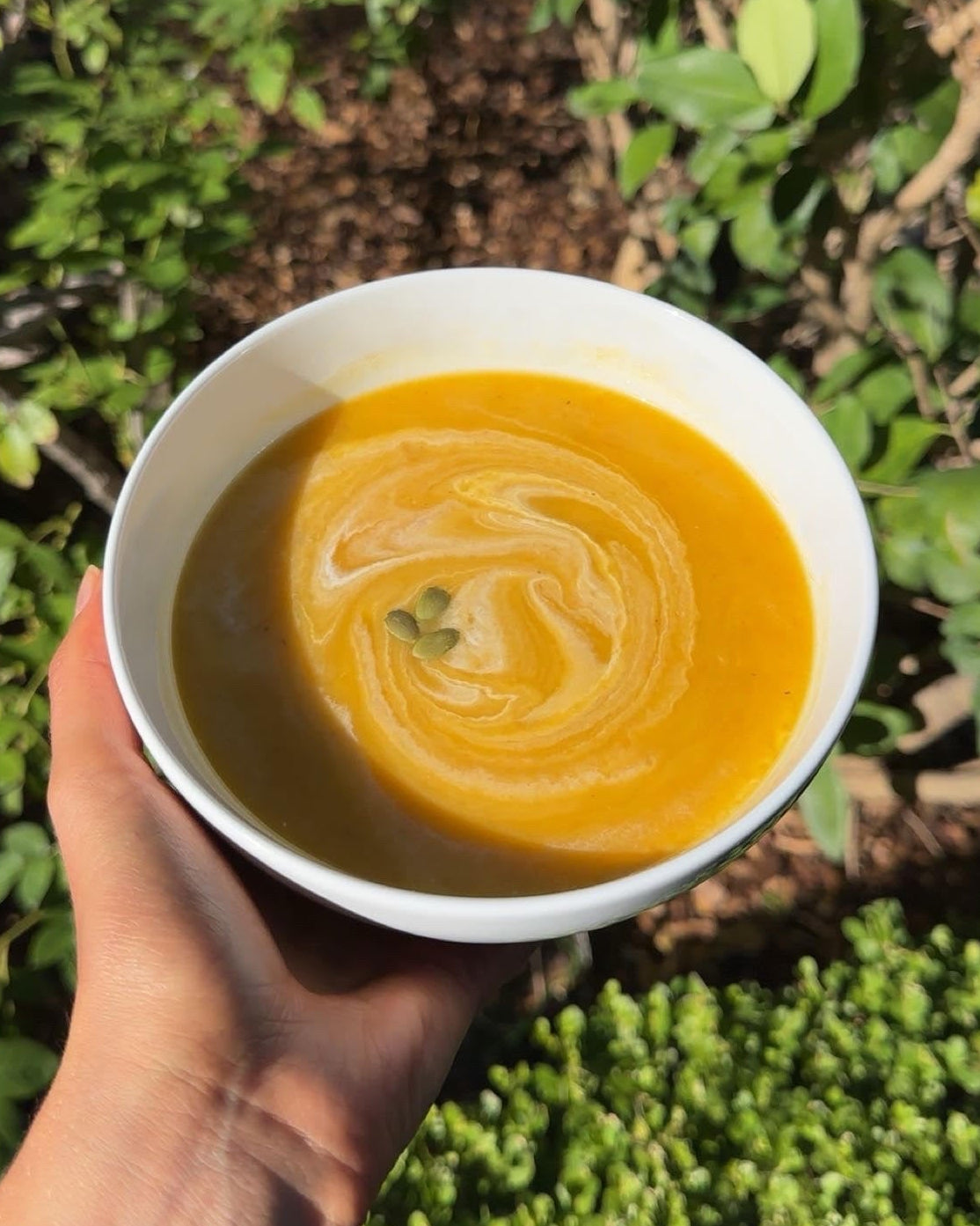 Butternut Squash Soup