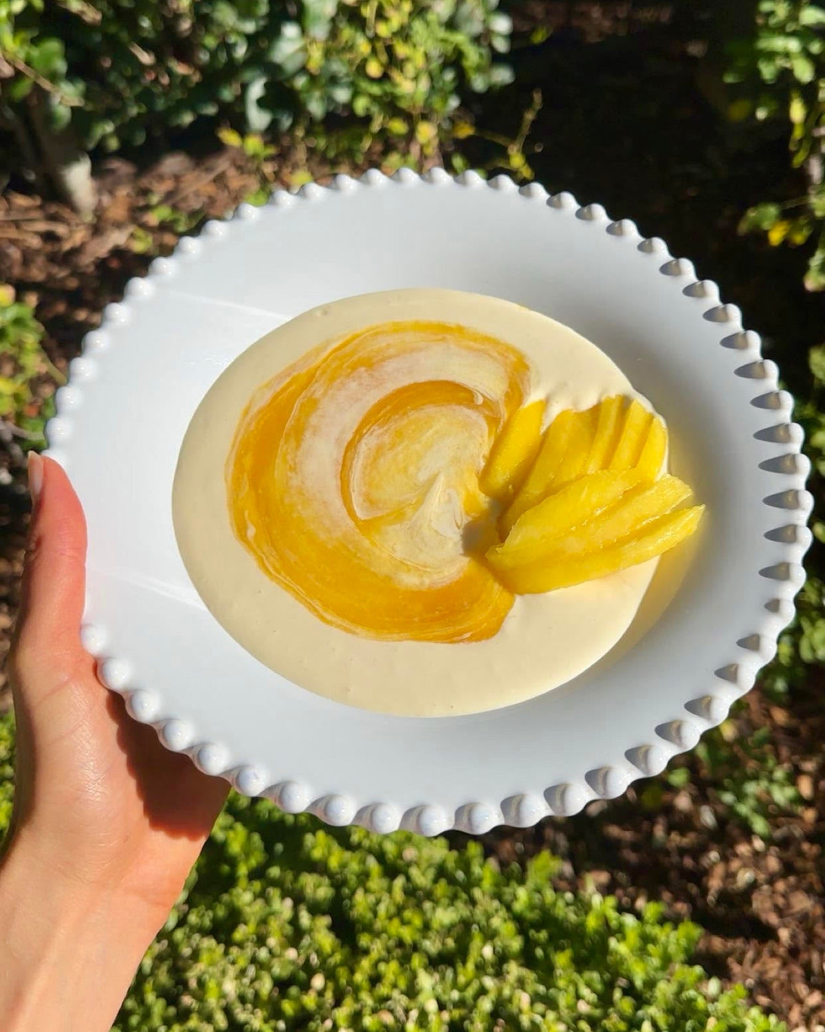 Strawberry Greek Yogurt with  Mango Jam
